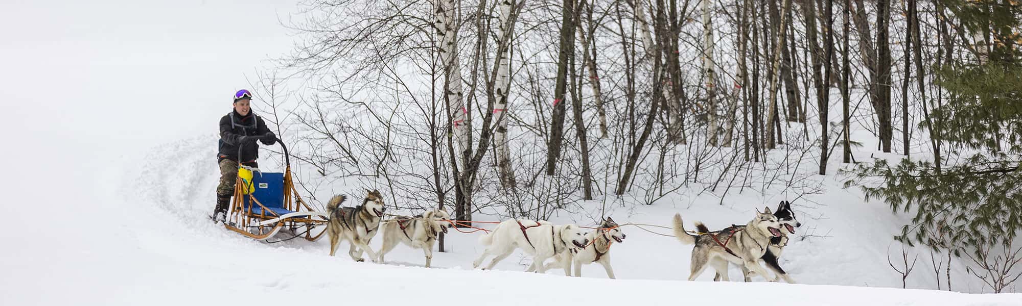 Raid motoneige, chien de traineau à l’Auberge du Vieux-Moulin Raid motoneige, chien de traineau à l'Auberge du Vieux-Moulin